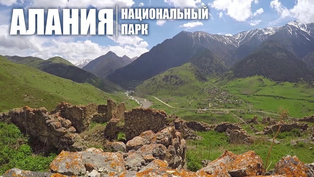 И животный мир в И животный мир в