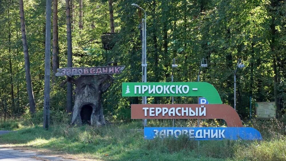 До большинства